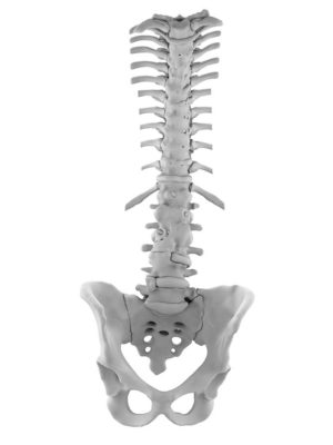 Adult Ankylosing spondylitis with kyphotic deformity